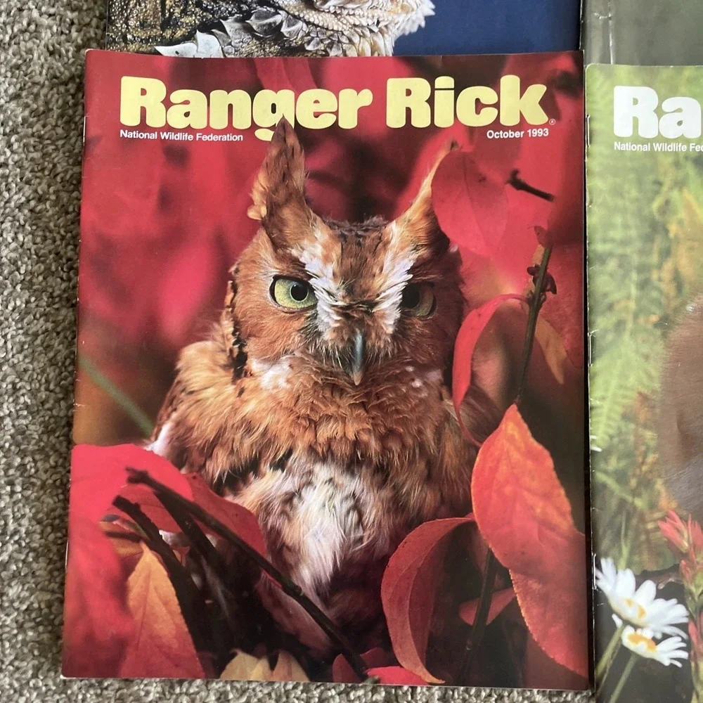 Ranger Rick's Nature‎ Magazine 1993-1994 National Wildlife Kids Vtg Lot Of 11